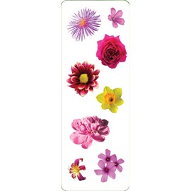 Flowers Sticker Set (6 Different Sheets of Stickers!), 2 1/2 x 7 1/8