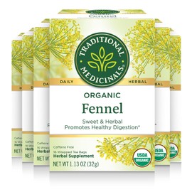 Traditional Medicinals Organic Fennel Herbal Tea, Promotes Digestive Health, (Pack of 6) - 96 Tea Bags Total