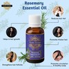 Precious Aromas Rosemary Oil for Hair Growth,Skin,Aromatherapy 100% Pure &