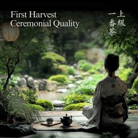 Yedoensis Matcha Ceremonial Uji - Té Verde Japonés En Polvo                                                                                           