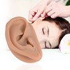 Modelo de oreja de acupuntura, réplica de oreja artificial derecha