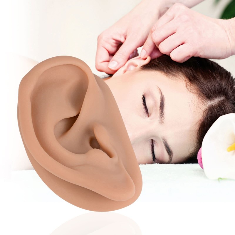 Modelo de oreja de acupuntura, réplica de oreja artificial derecha