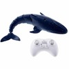 Remote Control Shark Pool Toy – 2.4GHz RC Swimming Shark