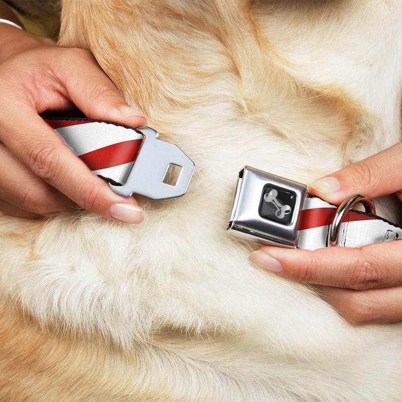 Buckle-Down Seatbelt Buckle Dog Collar - Candy Cane - 1.5"