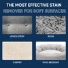 Oxy Pet Carpet Cleaner Spray | Pet Stain Remover for