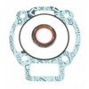 MALOSSI 172CCM Cylinder Gasket Set for Piaggio 125 – 180Ccm