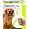 Looxmeer Recall Lead for Dogs, 3 m, 5 m, 7