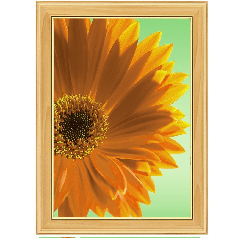 Kokuyo, Picture Frame