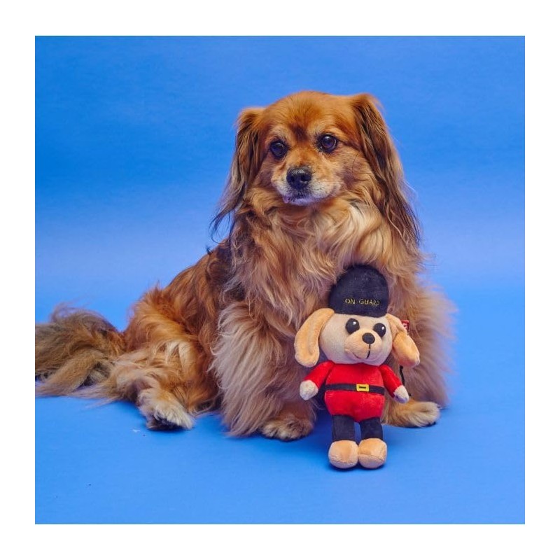 Pet London BRITISH GUARD DOG CHARACTER PLUSH TOY-UK SQUEAKY