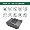 EZ SPARES 2Pcs Compatible With Rainbow,Rexair Cleaner E Series R10520,R-10520,R12106B,Washable