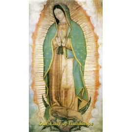 St. Jude Store Prayer to Our Lady of Guadalupe - Laminated holy card - Pack of 25