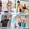METEOR Resistance Bands, Exercise Bands, Fitness Bands, Resistance Strap for