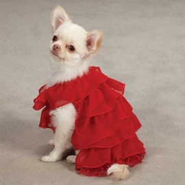 East Side Collection Polyester Ruffle Dog Dress, XX-Small, Red