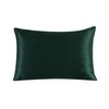 townssilk Both Side 100% 19mm Silk Pillowcase Queen Size Pillow