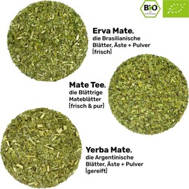 Mate Tea Set Organic ● 3 Mates + 2 Double-Walled Stainless Steel Mate Cups + 2 Bombillas + Preparation Instructions (Silver)