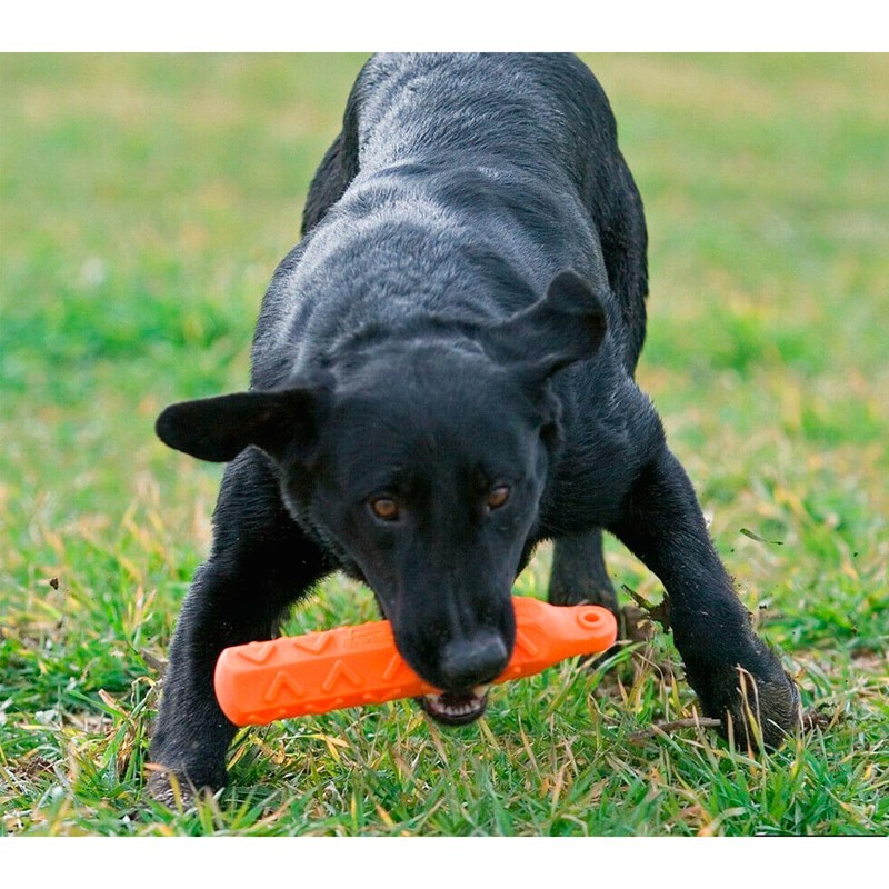 Avery ASD HexaBumper – Sporting Dog Floating Training Dummy with