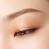 SUQQU School Mono Look Eyes (Laster) L-01 Coat of Arms