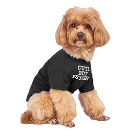 Cute Dog Clothes,Dog T Shirt for Medium Dogs.Dog Clothes for Small Dogs Girl Boy,Puppy.Breathable Soft Dog Costume Pet Dogs Cats,Pet Pullover Jumper,Cat Clothes (M-(7~11lb), Chest~16", Black)