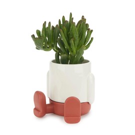 balvi Mini Flower Pot Mr Sitty Colour Red At The Base Section Collects Excess Water From Keram