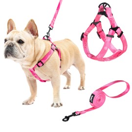 PUPTECK No Pull Dog Harness Soft Adjustable Basic Nylon Step in Puppy Vest Outdoor Walking with Leash