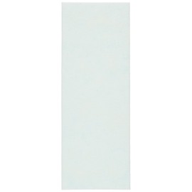 ダイニチ (Dainichi) 【純正品】 加湿器 フィルター 交換用 抗菌・消臭シート H090010 ホワイト
