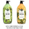 [OF221MQT] Aekyung Botanic Terrace Olive Moringa Body Wash - Moringa Body Wash/FREE / [OF221MQT]애경 보타닉테라스 올리브 모링가 바디워시 - 모링가바디워시／FREE
