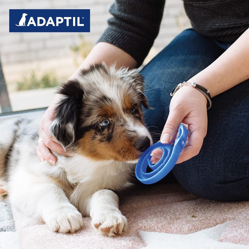 ADAPTIL® Junior collar for puppies, pheromone collar, dog, neck circumference