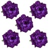 Hopeant - 5 broches para el pelo con diseño de