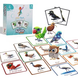 Color Pencil Feathers Flashcards - 36 Cards in a Box | Learn About Bird Feathers & Ornithology | Educational Gift for Kids Ages 2-4 | Baby Learning Cards, Educational, Preschool Learning