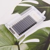 Lunamoon Volume Eyelashes, 5D W Eyelash Extension, Premade Fans Eyelash