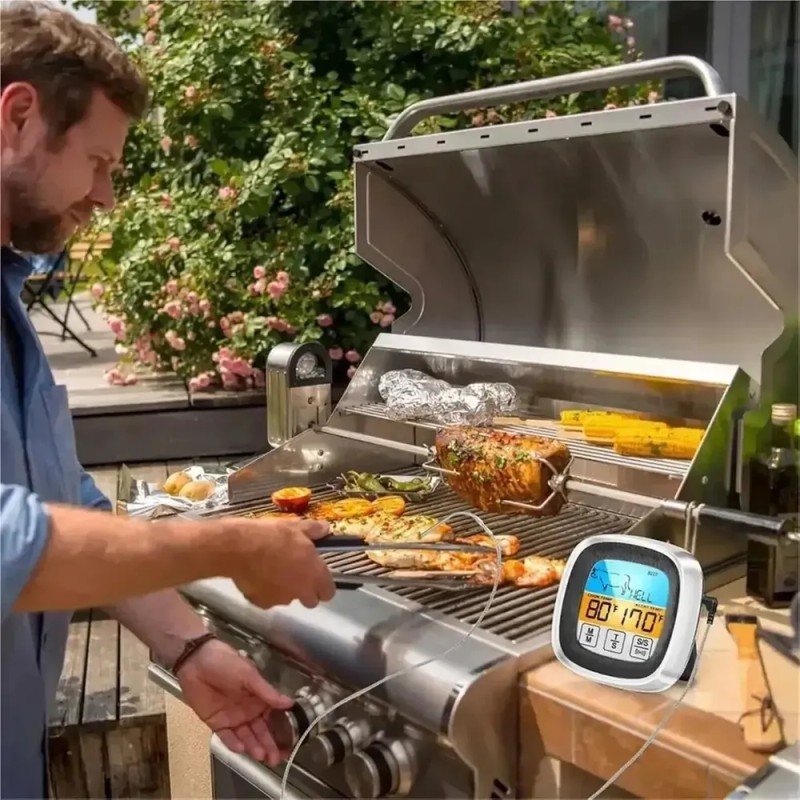 Termómetro Digital Cocina Para Carne, Doble Sonda Para Horno Plateado