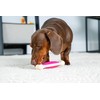 Hartz Chew 'n Clean Tuff Bone Bacon Scented Dental Dog