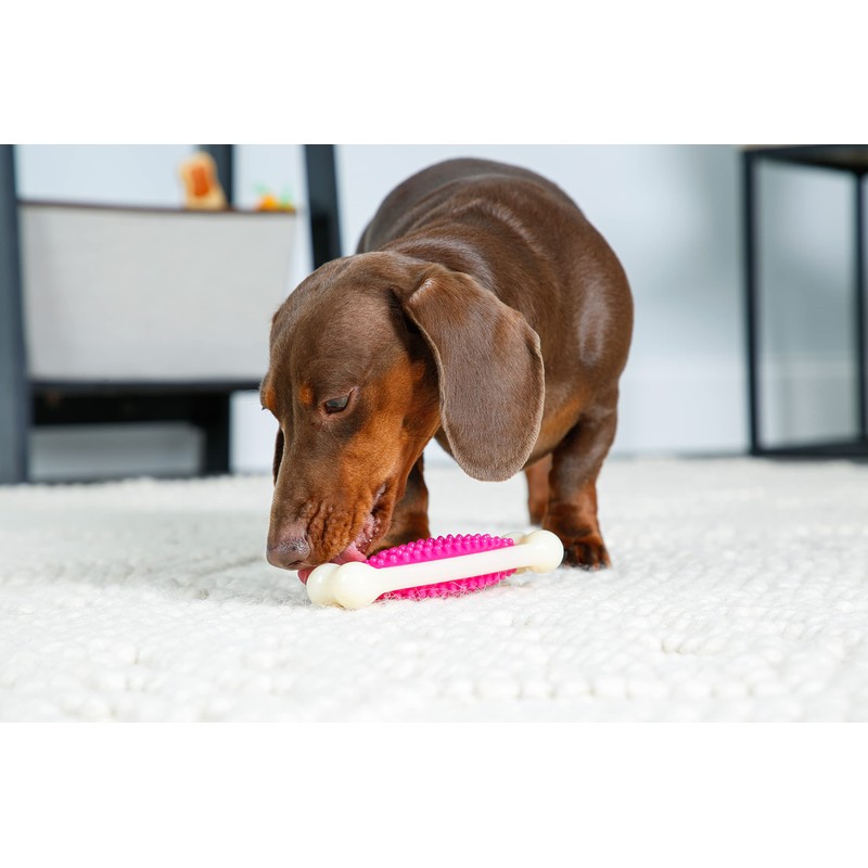 Hartz Chew 'n Clean Tuff Bone Bacon Scented Dental Dog