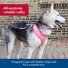 Coastal Pet Sublime Adjustable Dog Collar - Adjustable Plastic Buckle