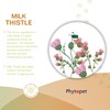 Phytopet Milk Thistle Tincture | 100ml | Liver & Gallbladder