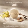 Arista Solid Shampoo for Normal Hair, Sulfate-Free Shampoo, Shikakai Powder