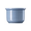 Thomas Trend Colour Arctic Blue Egg Cup