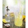 Penny & Rose Daisy Diffuser | Lawn Chair Lemonade Oil