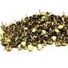 C.S. Osborne 1000 Pcs 1/4" Brass Plated Nails #6920-BP Gold