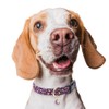 Collar De Algodón Para Perro, Collar Ajustable Y Bonito Para