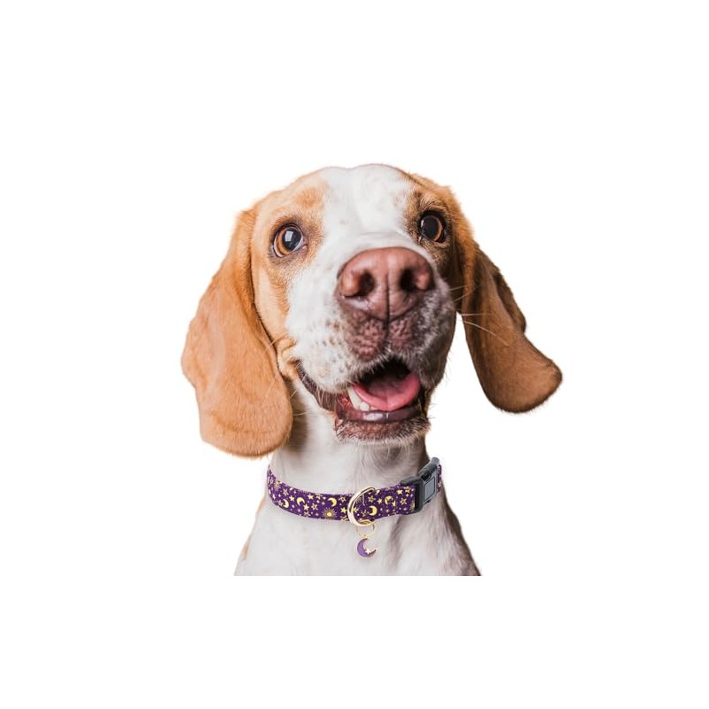 Collar De Algodón Para Perro, Collar Ajustable Y Bonito Para
