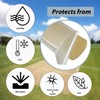 S & S PRODUCTS Pack of 2 Piece Transparent Cricket