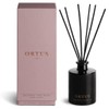 Vancouver Candle Co. Discovery Collection Reed Diffuser Set – Ortus