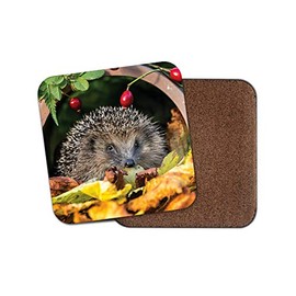 1 x Adorable Hedgehog Coaster - Garden Animal Mum Auntie Wildlife #13045