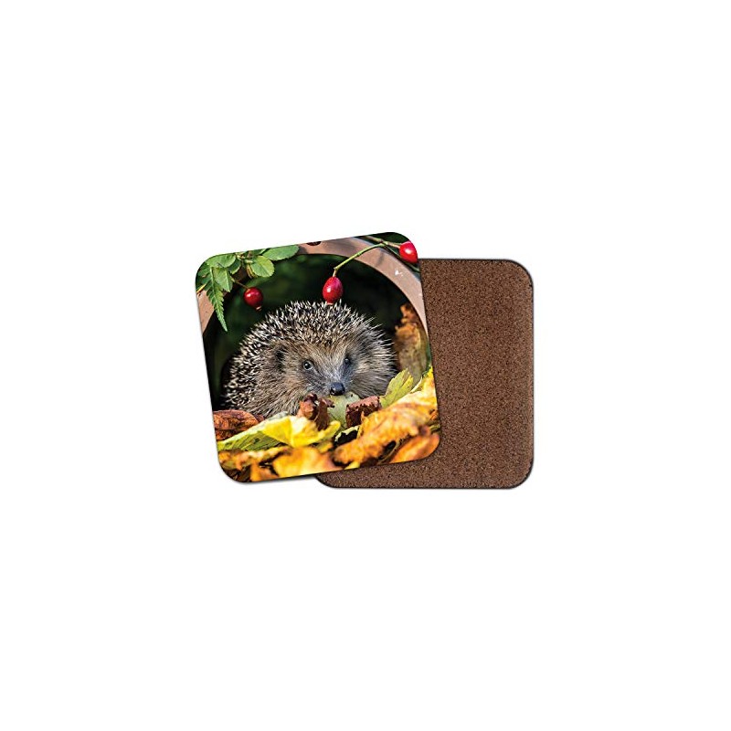 1 x Adorable Hedgehog Coaster - Garden Animal Mum Auntie