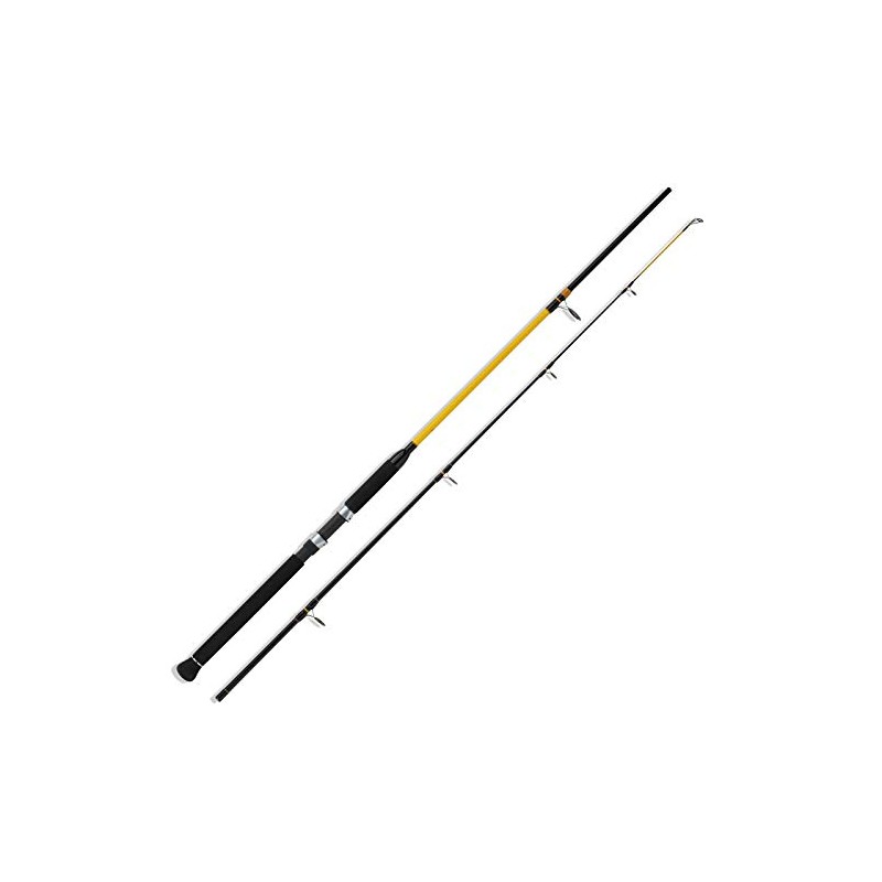 WFT Never Crack Senso Pilk 2.10 m 50-160 g