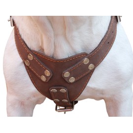 Brown Genuine Leather Dog Harness, Large to XLarge. 33"-37" Chest, 1.5" Wide Straps, Amstaff.