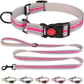 Martingale Collar for Dogs,Soft Neoprene Padded Reflective Martingale Collar and Leash Set Safety Buckle Nylon Martingale Dog Collar for Medium Dogs(Hotpink&M)