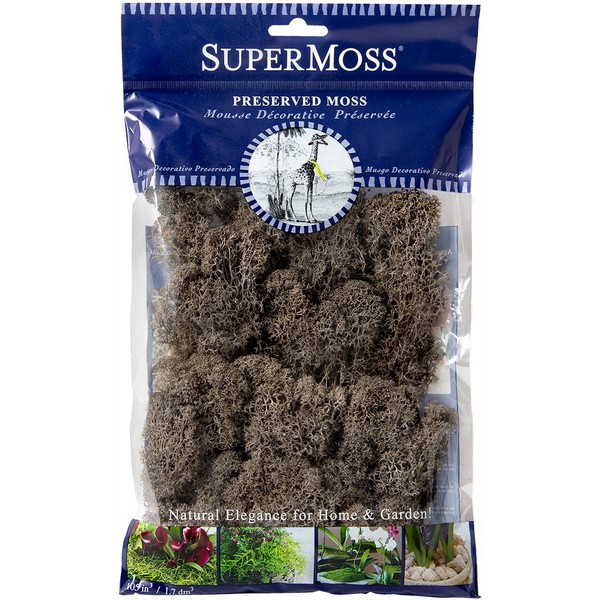 SuperMoss (25165) Reindeer Moss Preserved, Cashmere, 2oz Bag