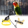 Bird Harness Leash Elastic Easy To Wear Portable Bird Traction